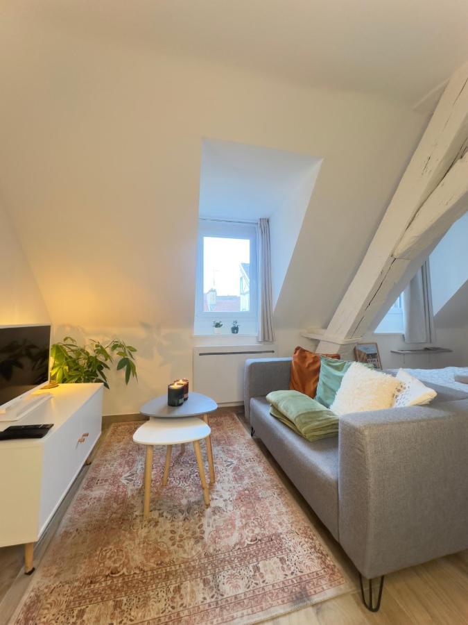 Le Charme Dubois Apartment Dijon Exterior photo